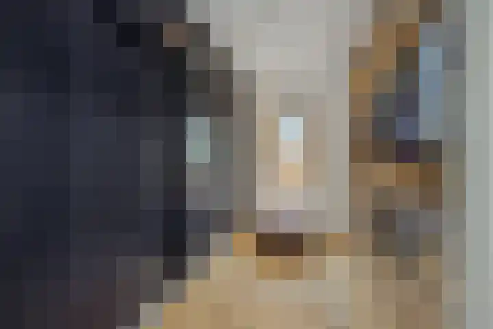 Poirtersstraat 12 Helvoirt thumbnail 32