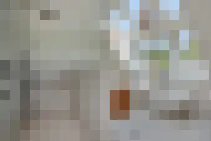 Poirtersstraat 12 Helvoirt thumbnail 33