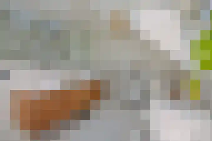Poirtersstraat 12 Helvoirt thumbnail 34
