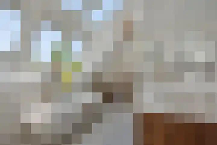 Poirtersstraat 12 Helvoirt thumbnail 36