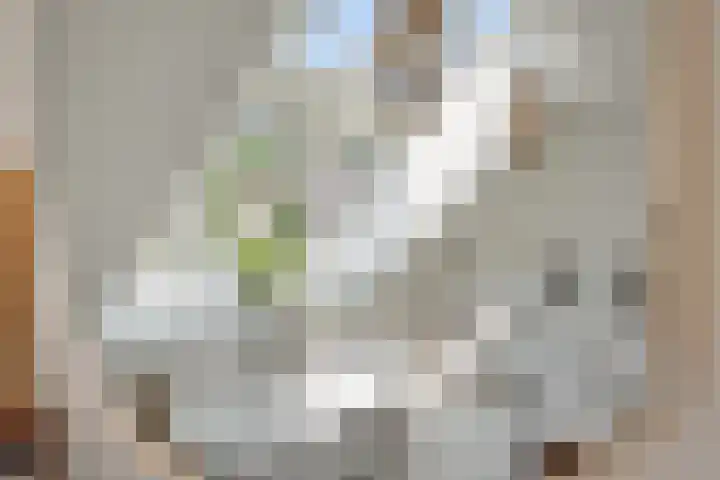 Poirtersstraat 12 Helvoirt thumbnail 37