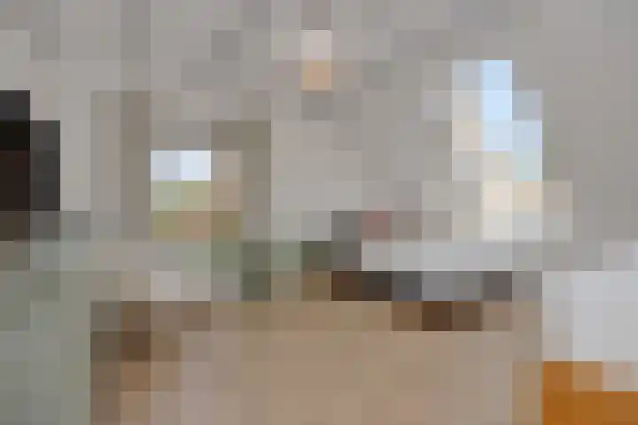 Poirtersstraat 12 Helvoirt thumbnail 39