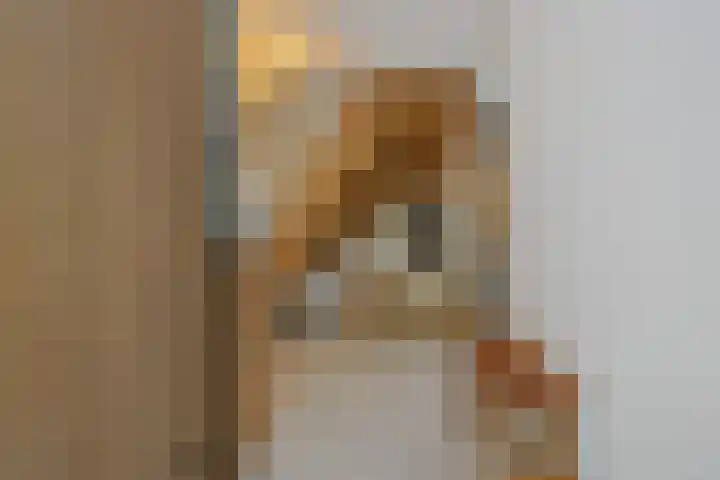 Poirtersstraat 12 Helvoirt thumbnail 4