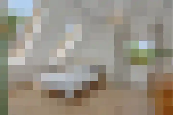 Poirtersstraat 12 Helvoirt thumbnail 41