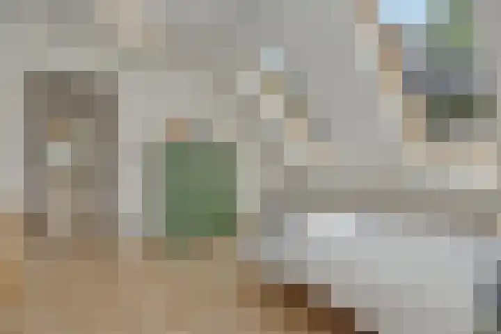 Poirtersstraat 12 Helvoirt thumbnail 43