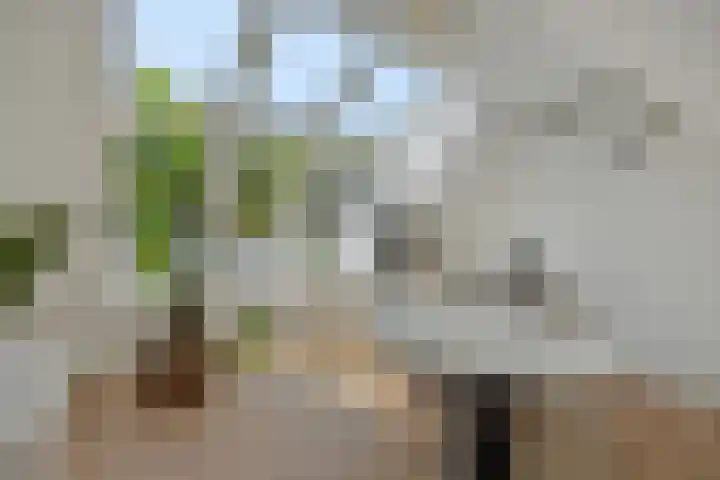 Poirtersstraat 12 Helvoirt thumbnail 46