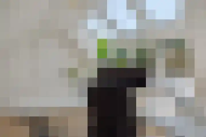 Poirtersstraat 12 Helvoirt thumbnail 47