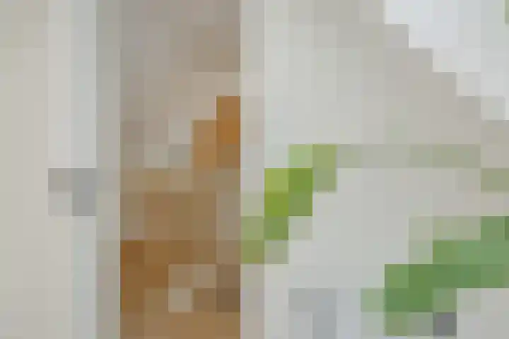 Poirtersstraat 12 Helvoirt thumbnail 48