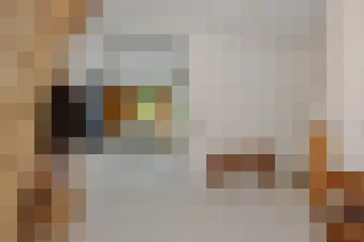 Poirtersstraat 12 Helvoirt thumbnail 5
