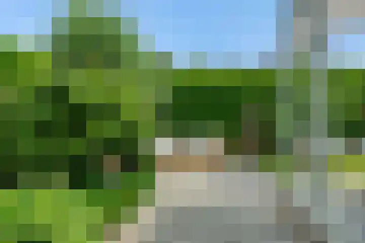 Poirtersstraat 12 Helvoirt thumbnail 51