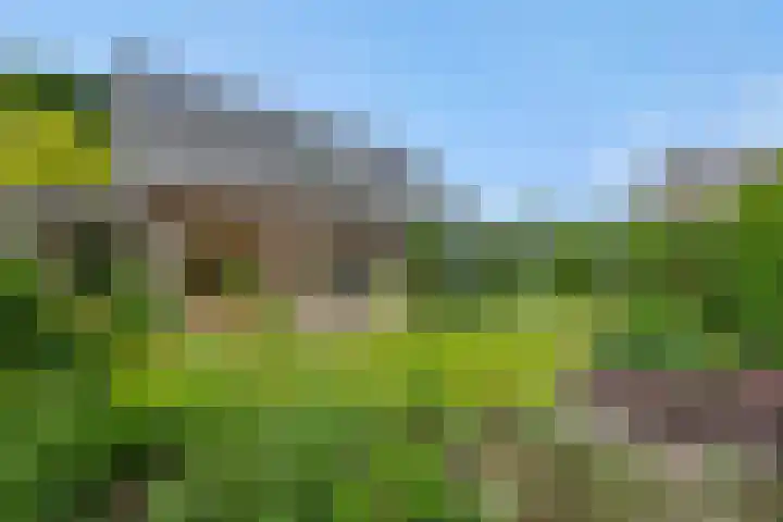 Poirtersstraat 12 Helvoirt thumbnail 55