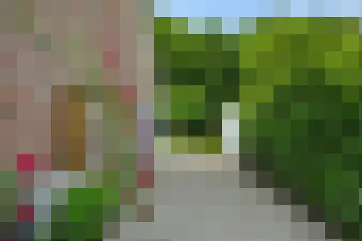 Poirtersstraat 12 Helvoirt thumbnail 58