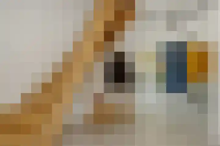 Poirtersstraat 12 Helvoirt thumbnail 6