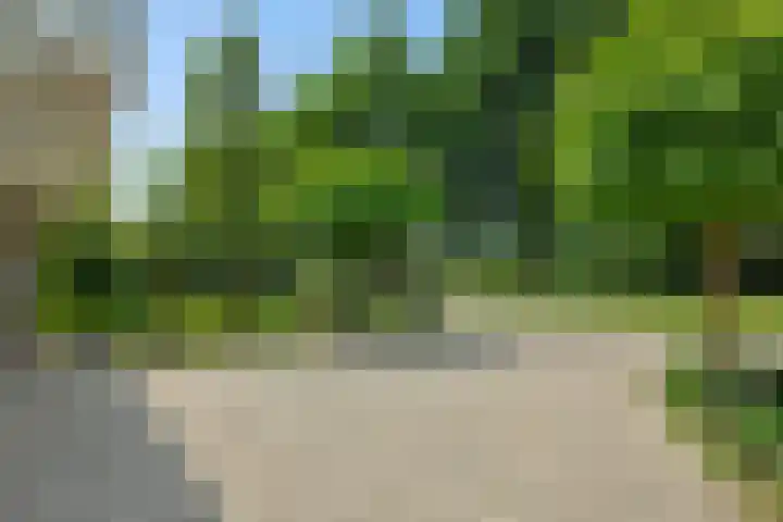 Poirtersstraat 12 Helvoirt thumbnail 61