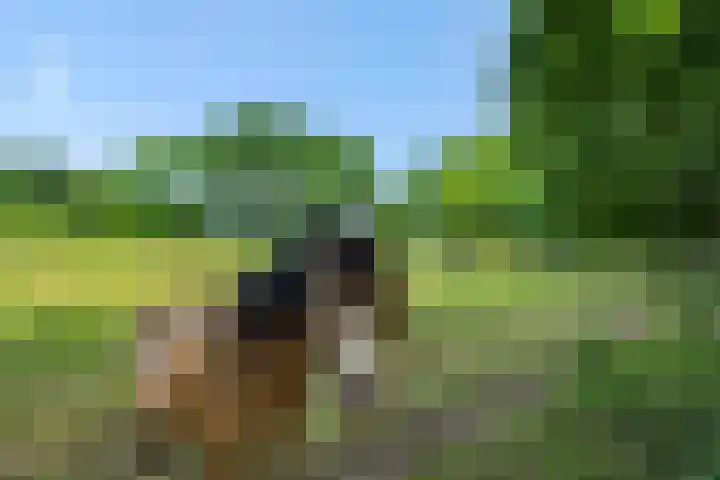 Poirtersstraat 12 Helvoirt thumbnail 65