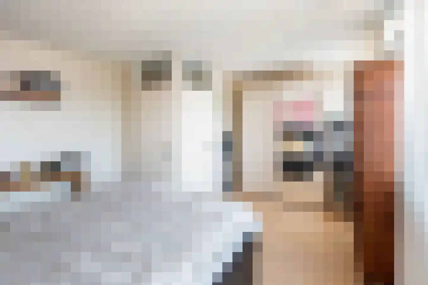 Pol 108 Ulft thumbnail 22