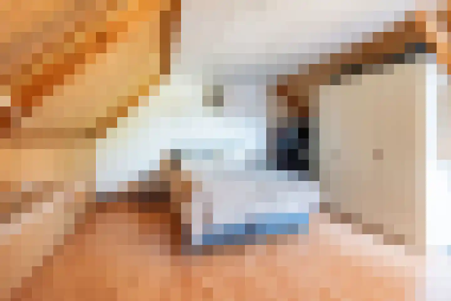 Pol 108 Ulft thumbnail 29