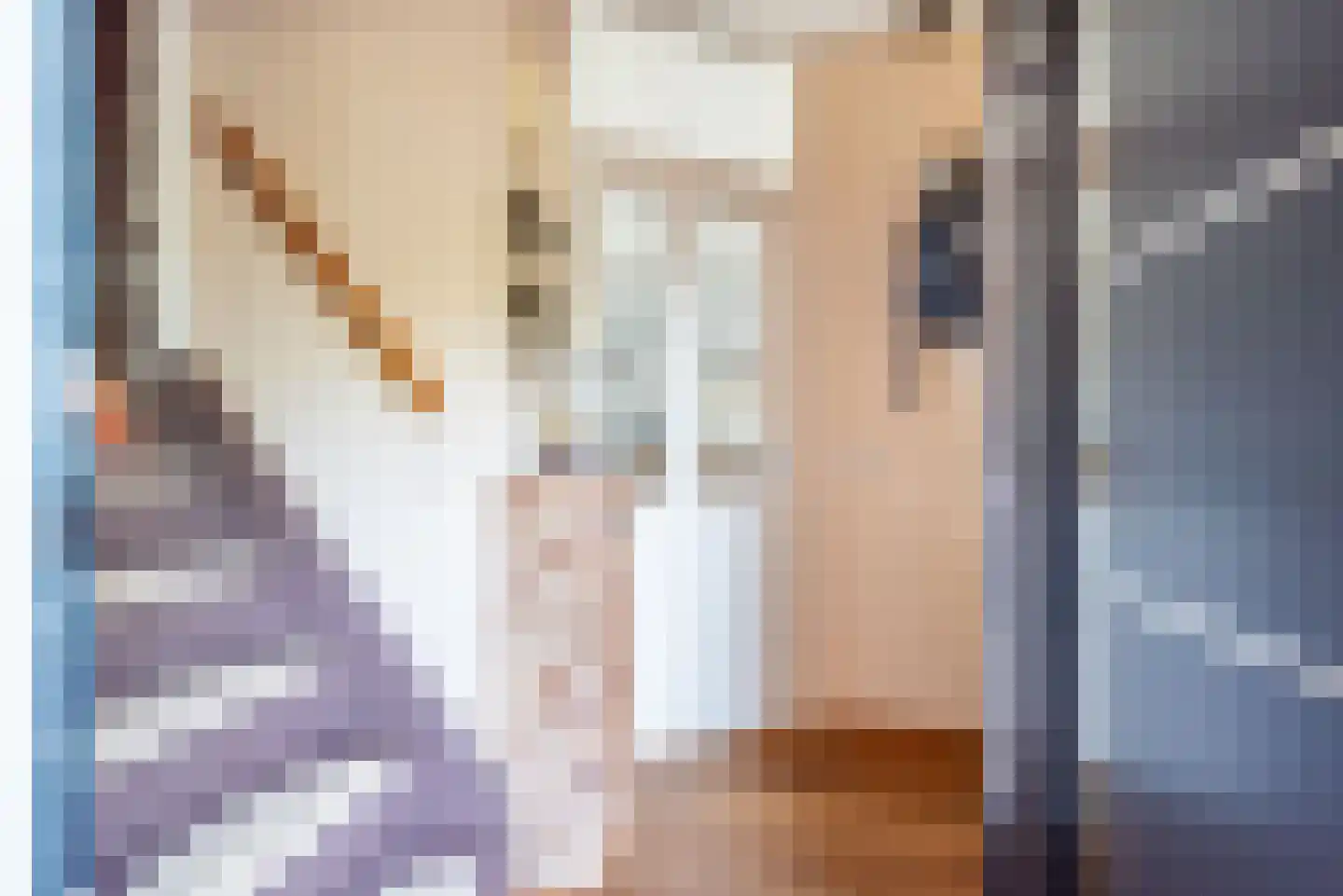 Pol 108 Ulft thumbnail 7
