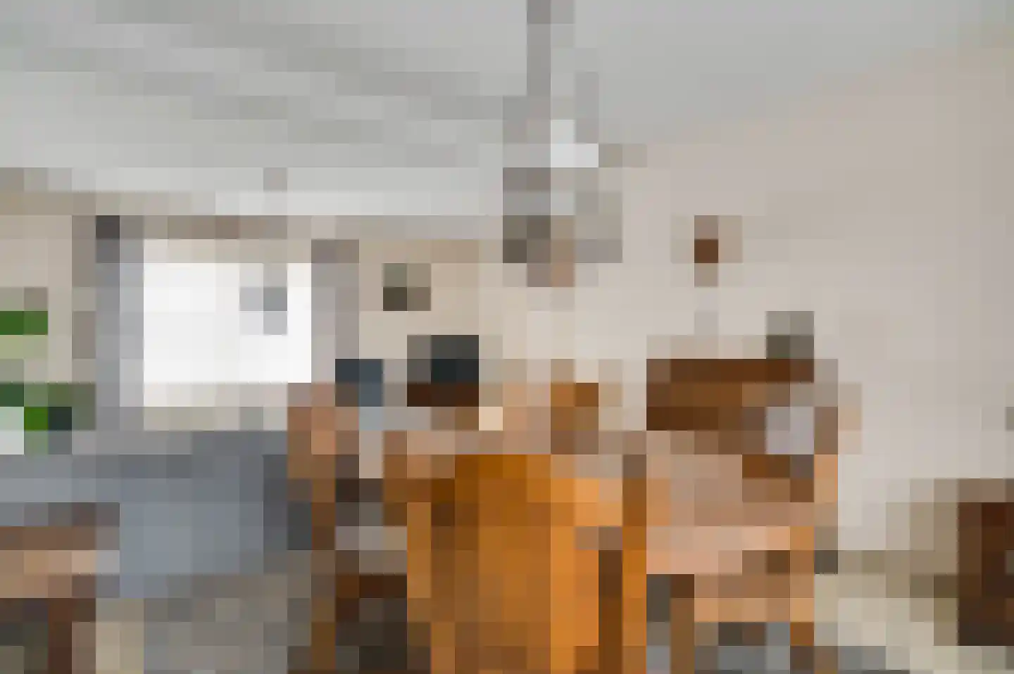 Pol 6 Wessem thumbnail 11