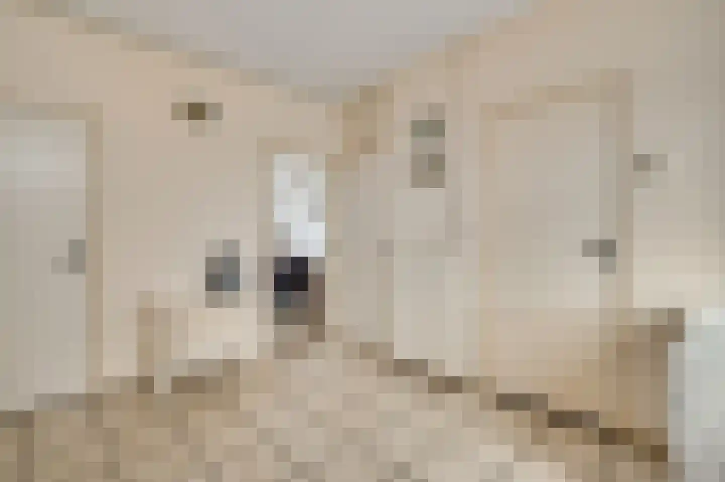 Pol 6 Wessem thumbnail 13