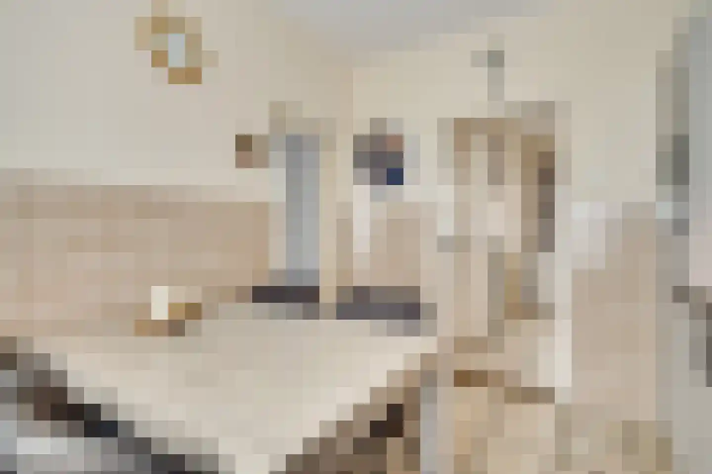 Pol 6 Wessem thumbnail 16