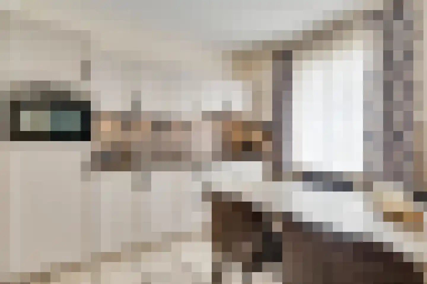 Pol 6 Wessem thumbnail 17