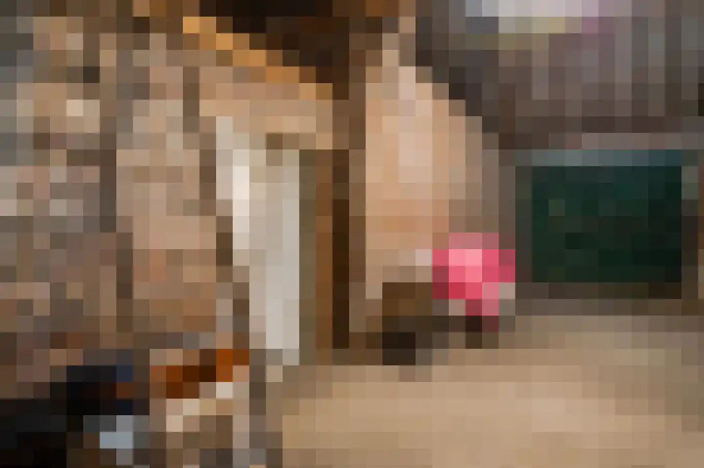 Pol 6 Wessem thumbnail 31