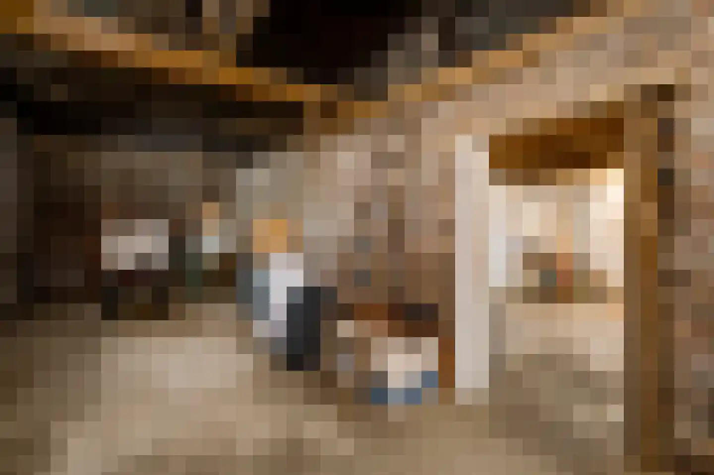 Pol 6 Wessem thumbnail 32