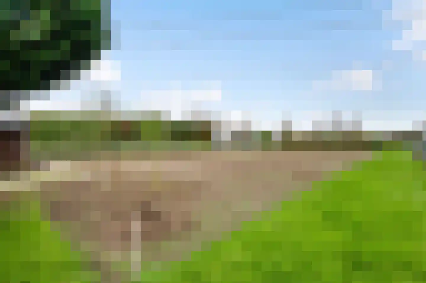 Pol 6 Wessem thumbnail 44
