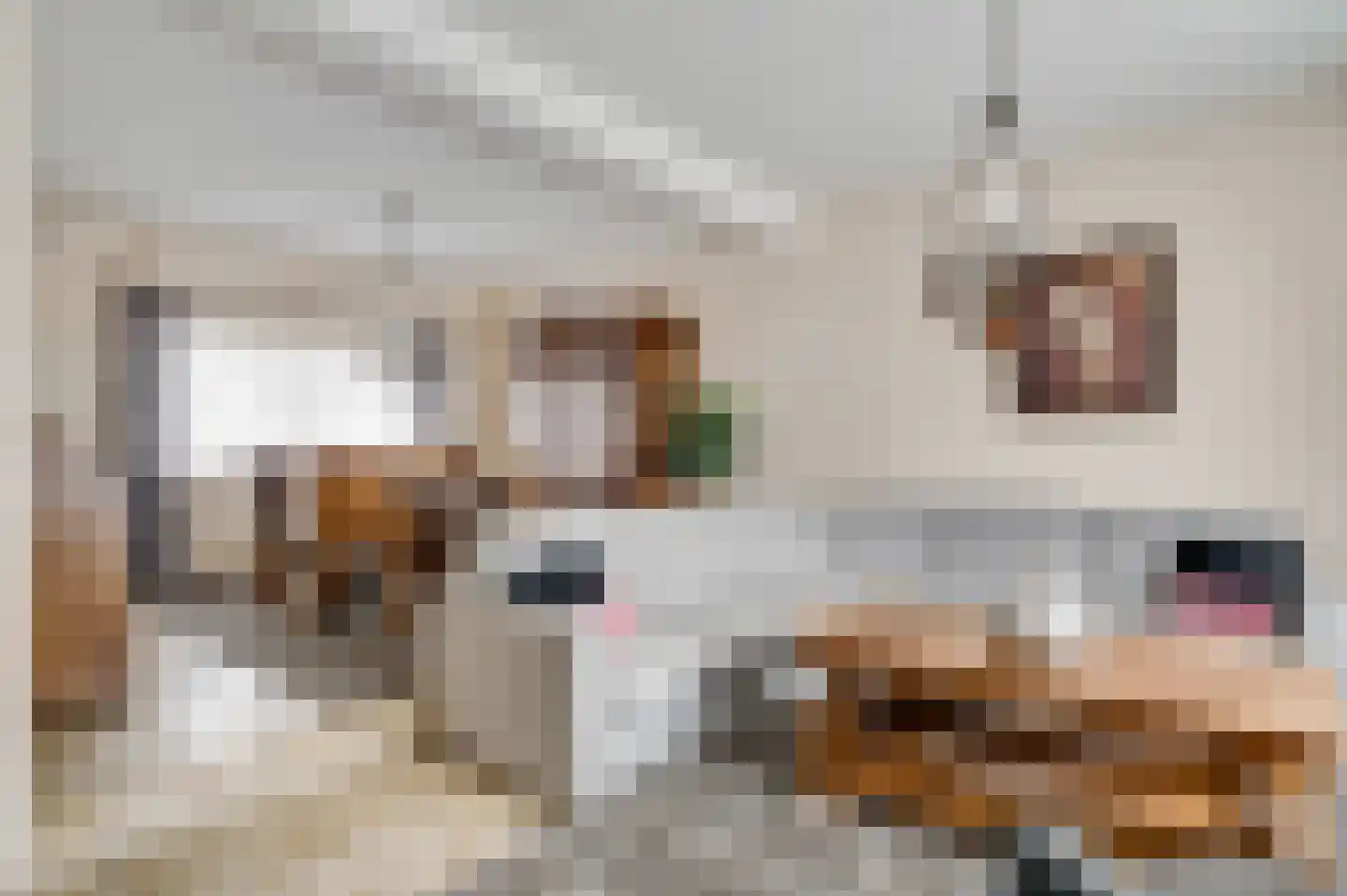 Pol 6 Wessem thumbnail 7