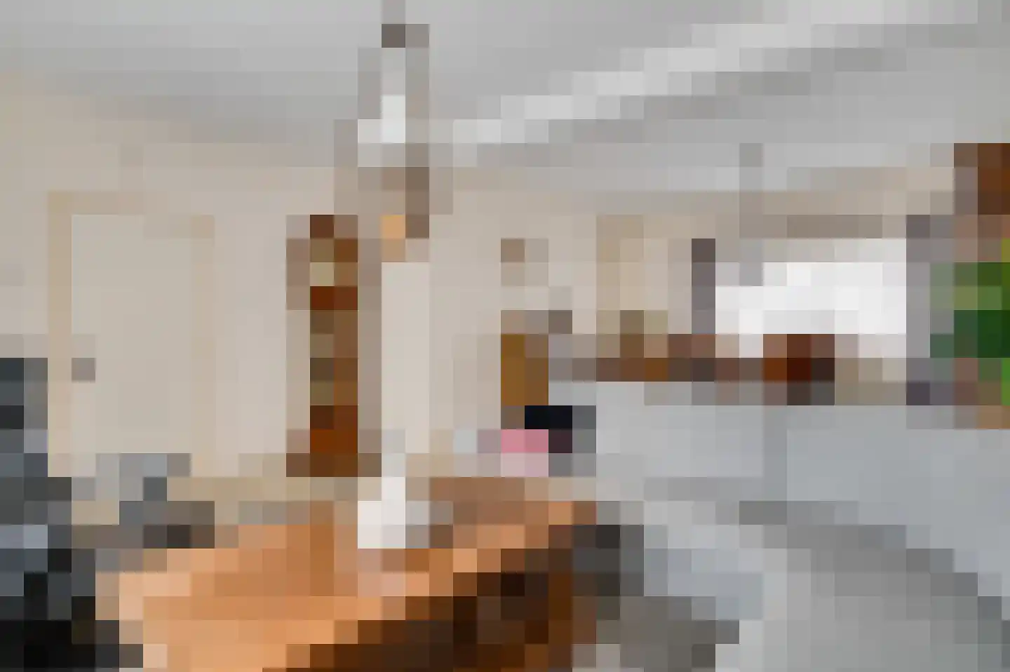 Pol 6 Wessem thumbnail 8