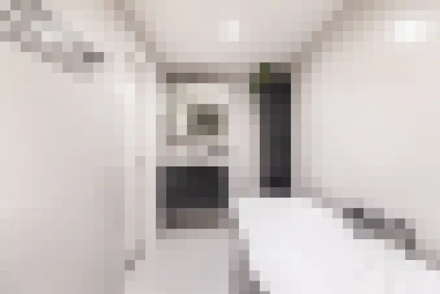 Pol 69 Ulft thumbnail 24