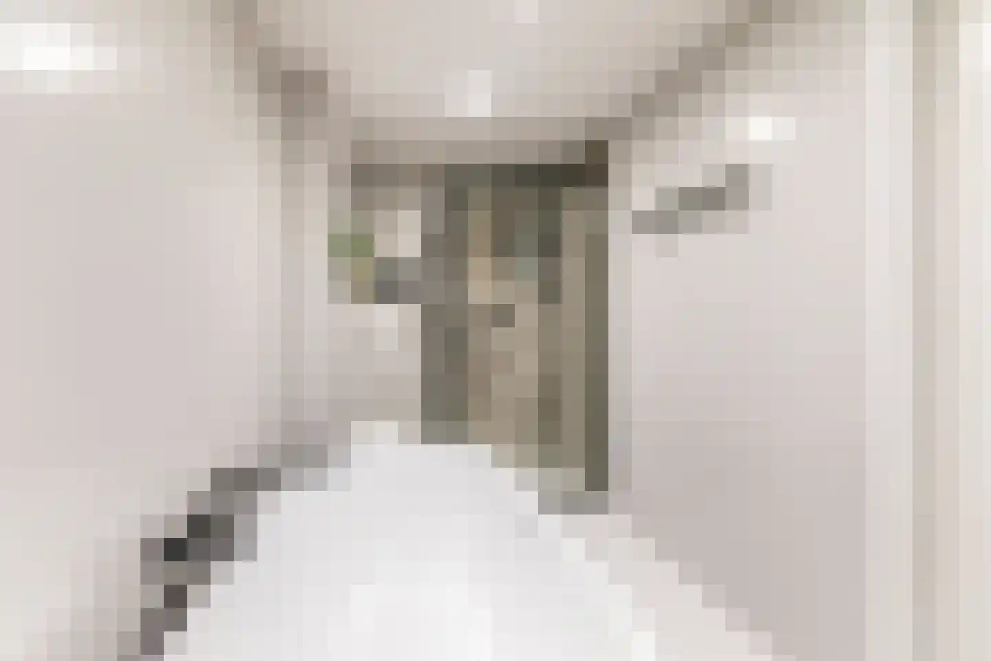 Pol 69 Ulft thumbnail 25