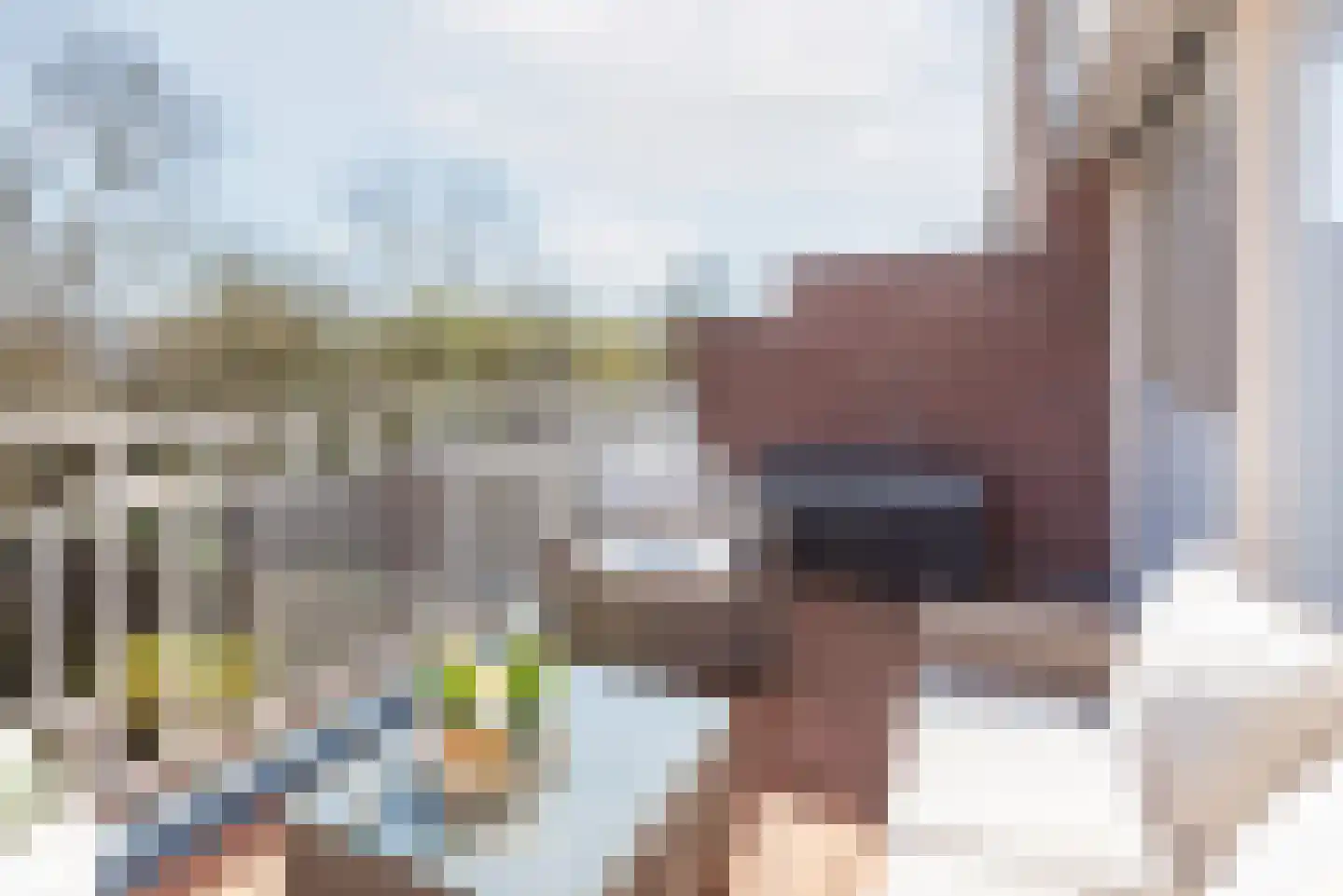 Pol 69 Ulft thumbnail 31