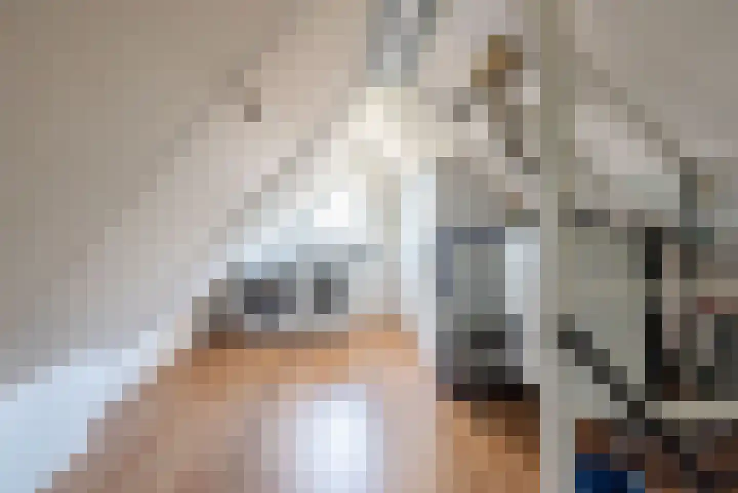 Pol 69 Ulft thumbnail 36