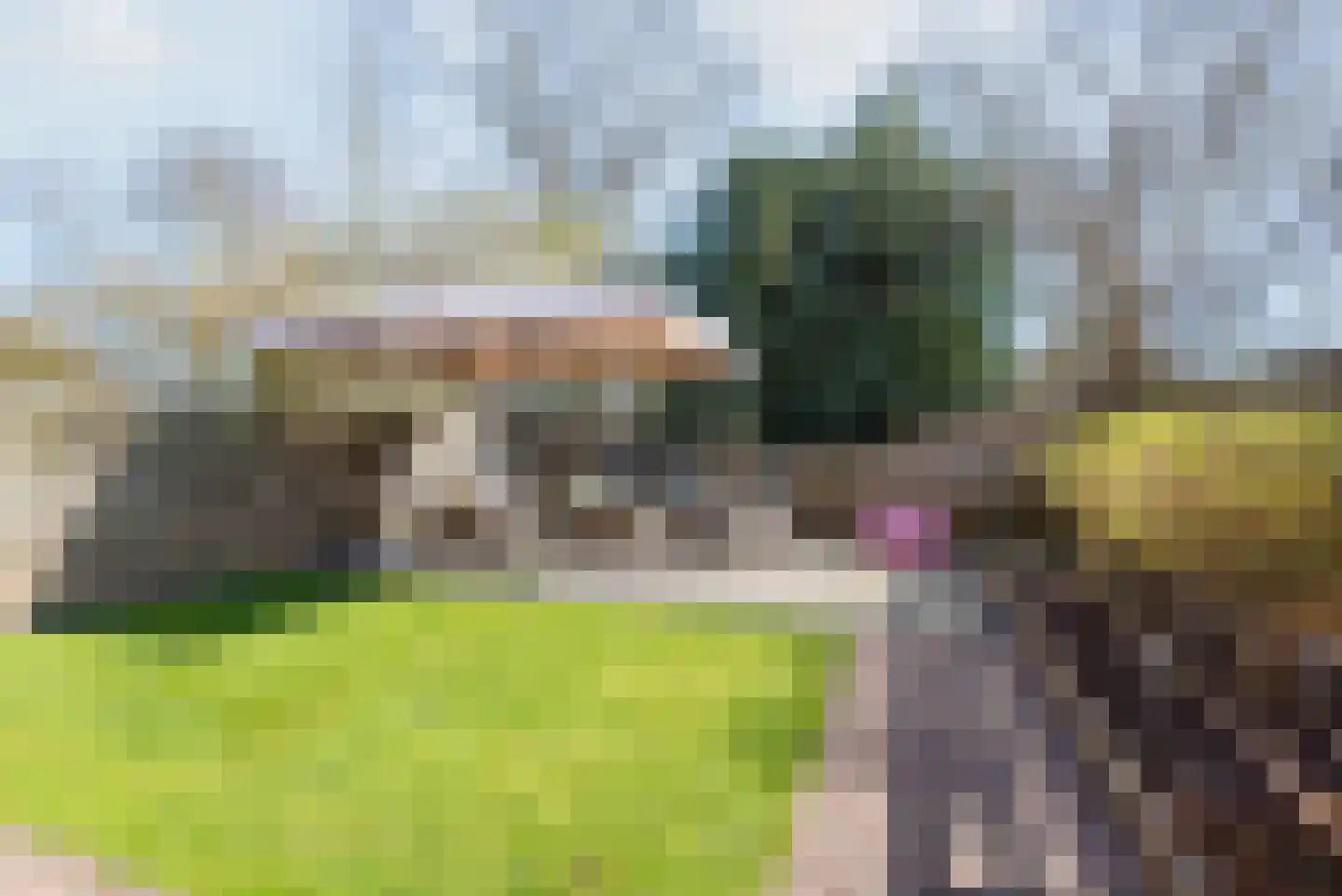 Pol 69 Ulft thumbnail 42