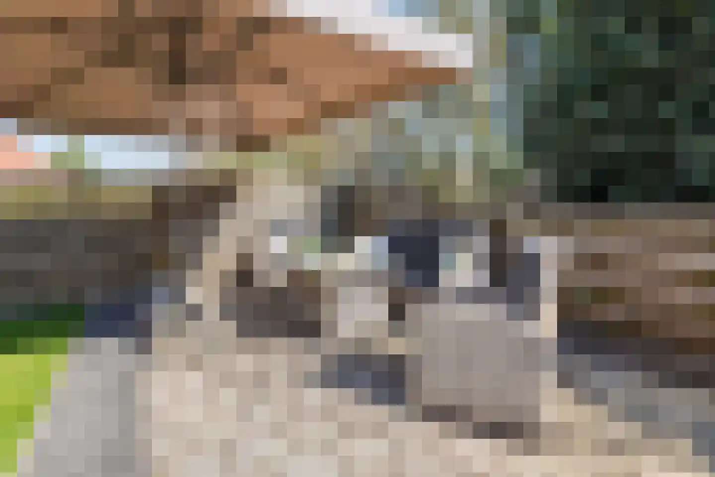 Pol 69 Ulft thumbnail 43