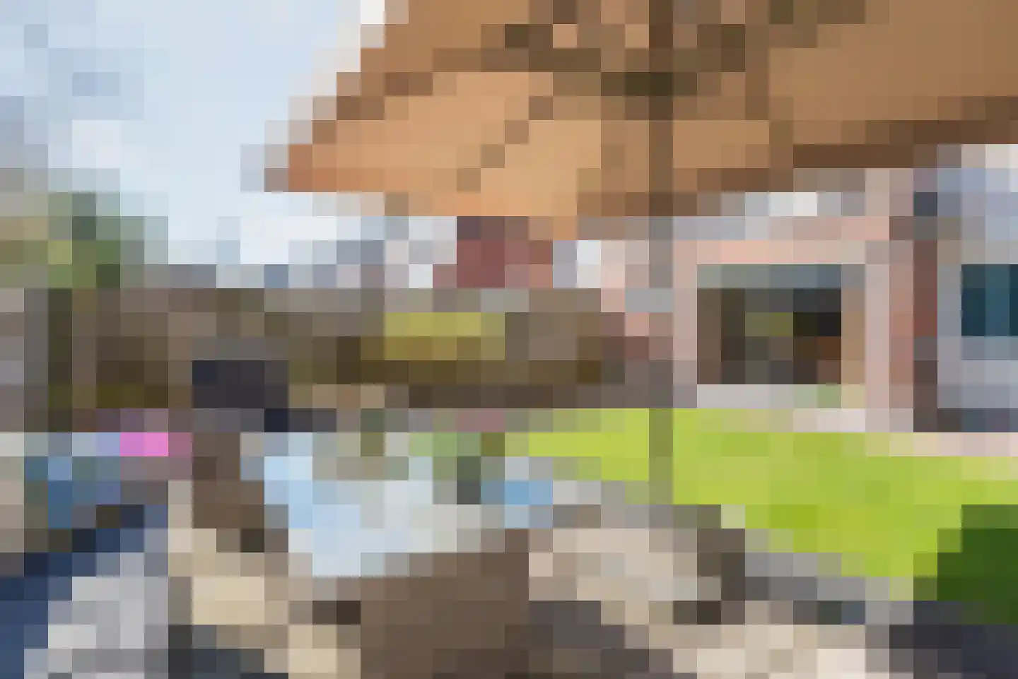 Pol 69 Ulft thumbnail 44