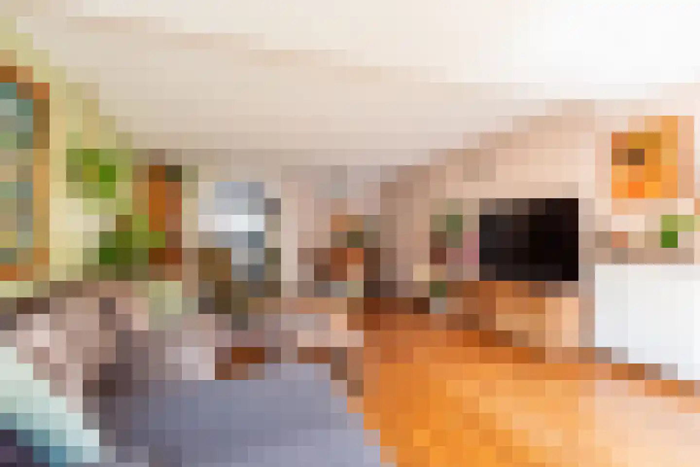 Pol 77 Ulft thumbnail 13