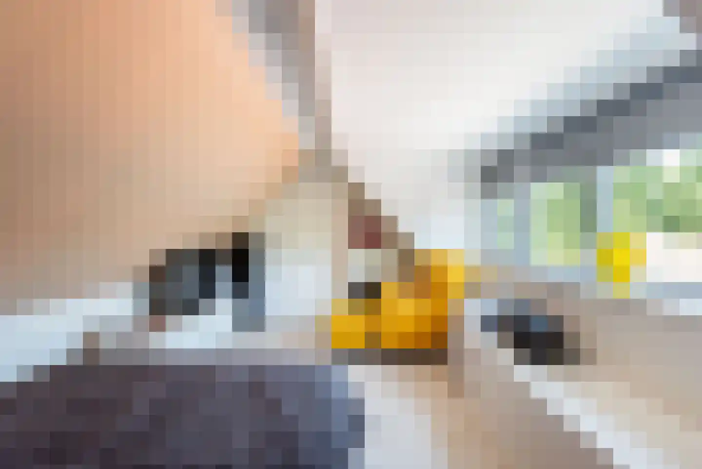 Pol 77 Ulft thumbnail 36