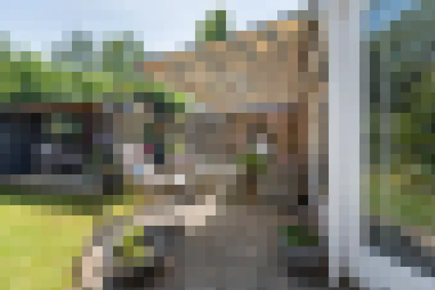 Pol 77 Ulft thumbnail 38