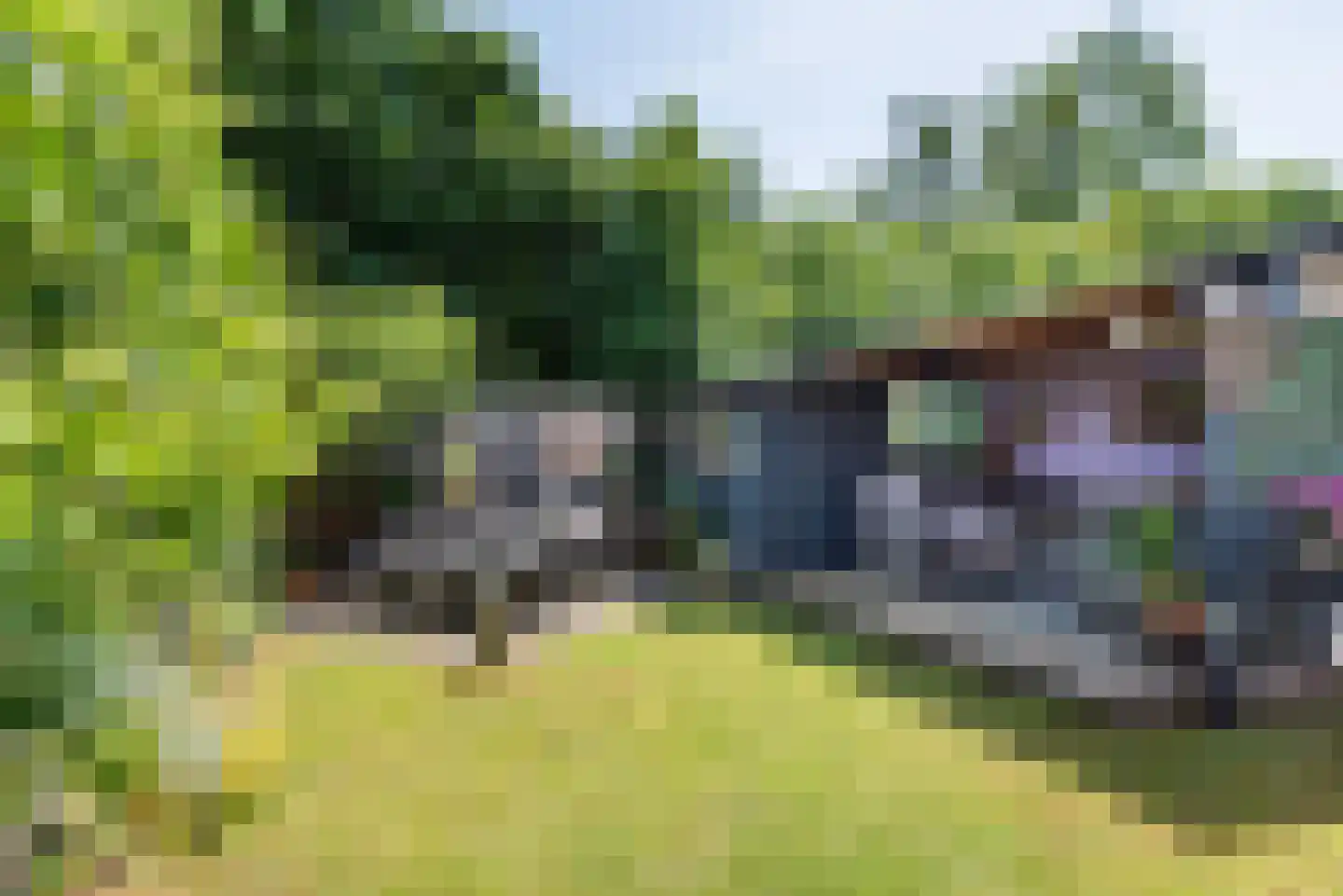 Pol 77 Ulft thumbnail 40
