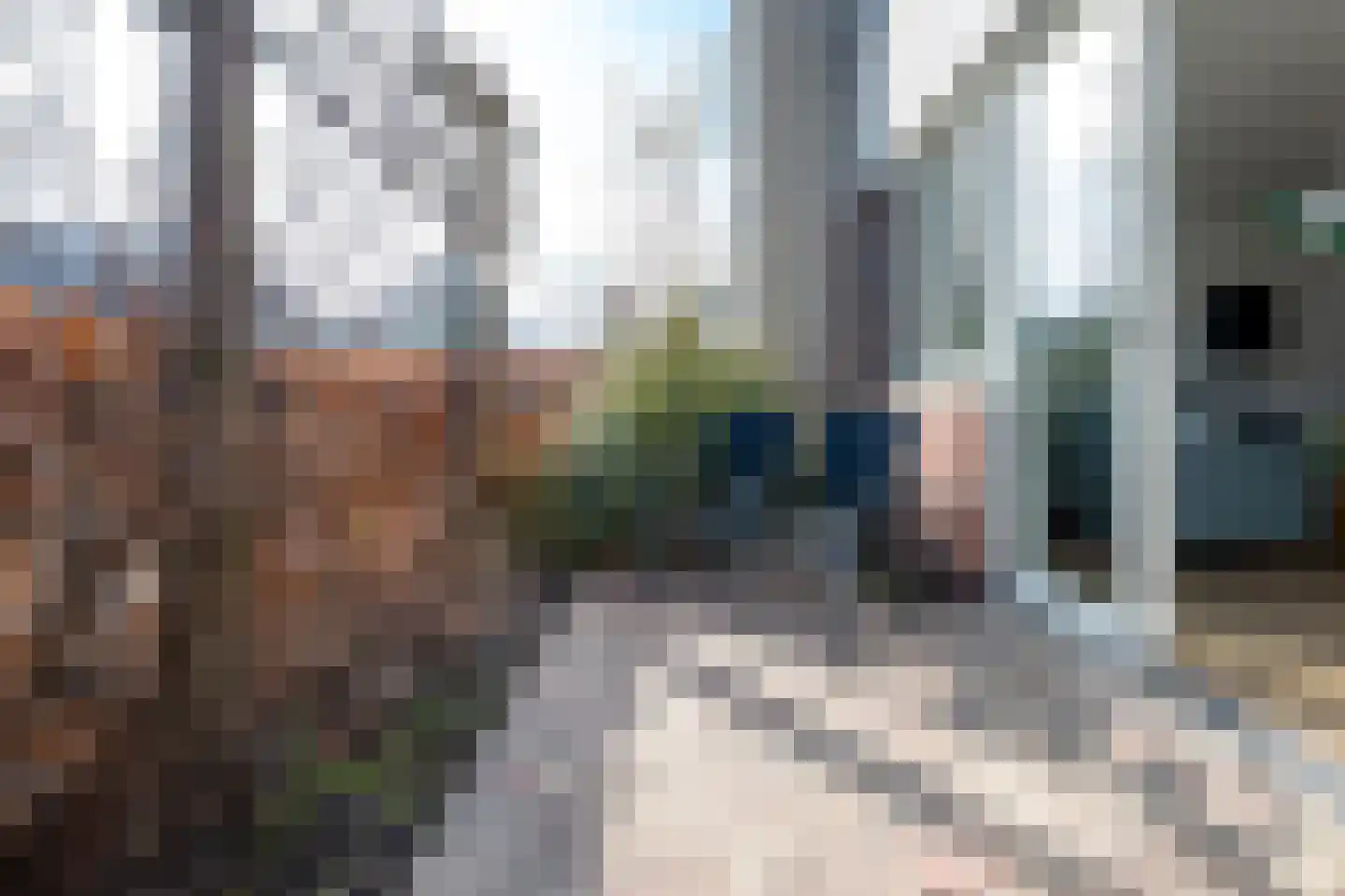 Pol de Monthove 21 Nieuwegein thumbnail 9
