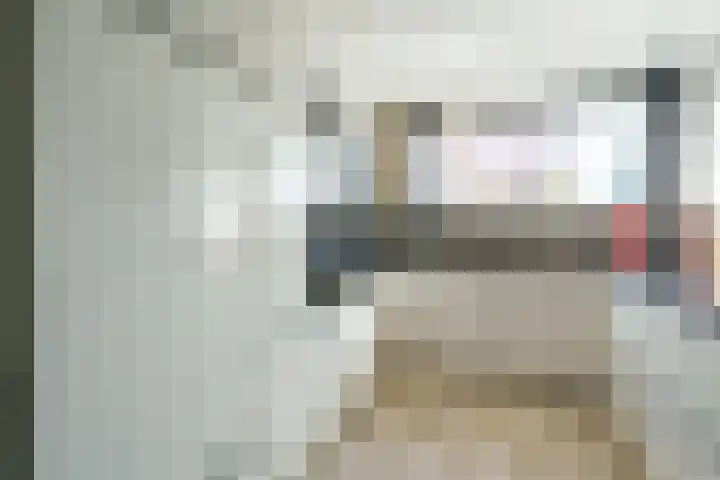 Pol de Monthove 30 Nieuwegein thumbnail 12