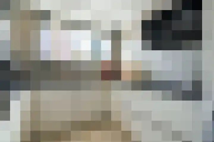 Pol de Monthove 30 Nieuwegein thumbnail 13