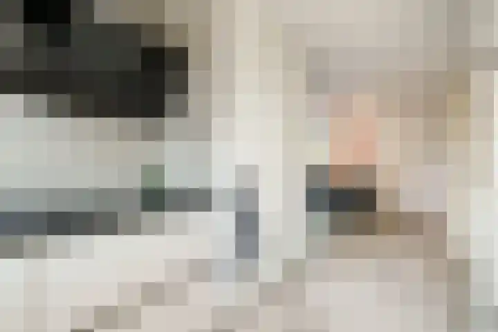 Pol de Monthove 30 Nieuwegein thumbnail 14