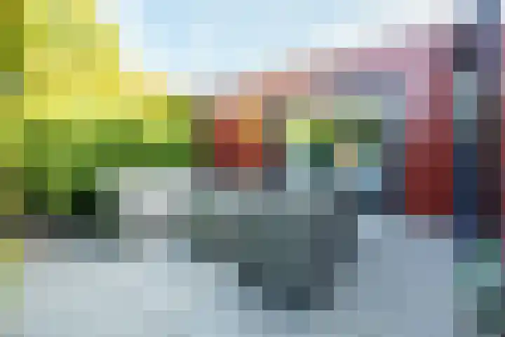 Pol de Monthove 30 Nieuwegein thumbnail 25