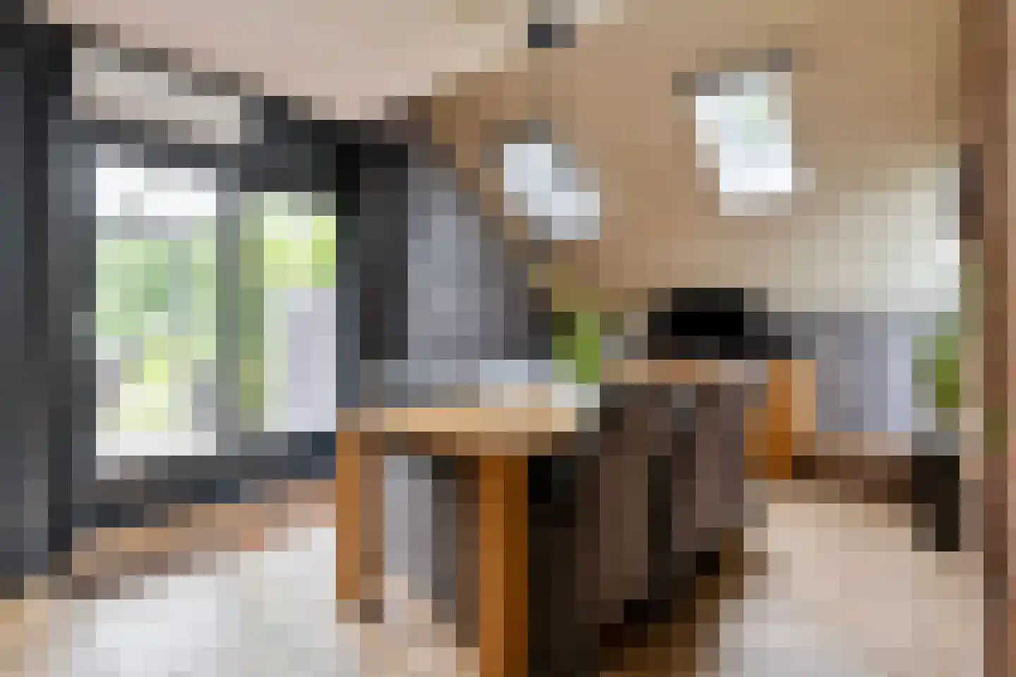 Polakkers 2 Buinen thumbnail 11