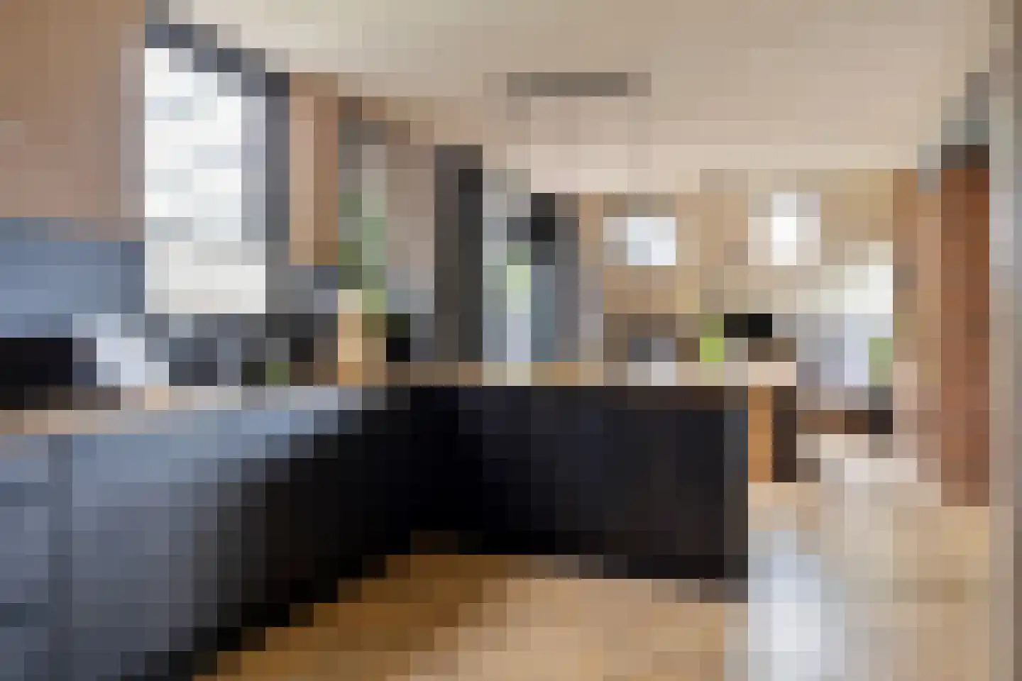 Polakkers 2 Buinen thumbnail 15