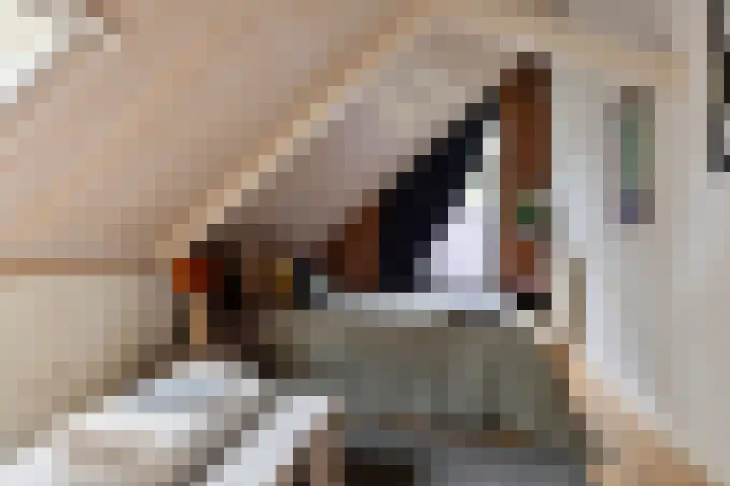 Polakkers 2 Buinen thumbnail 18